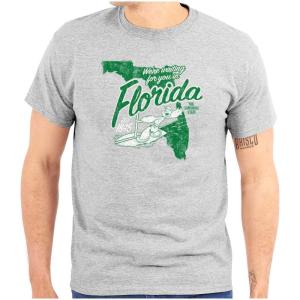 Brisco Brands Popeye Cartoon American States Graphic T Shirt Men or Women(Florida)