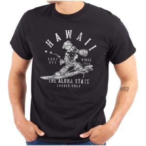 Brisco Brands Popeye Cartoon American States Graphic T Shirt Men or Women(Hawaii)