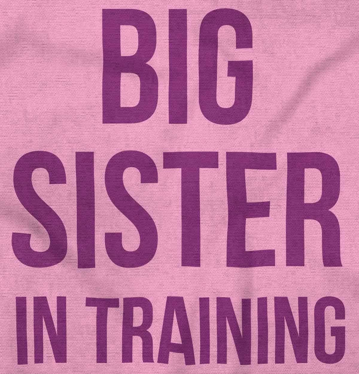 imageBig Sister In Training Expecting Baby Bodysuit Jumper GirlsPink
