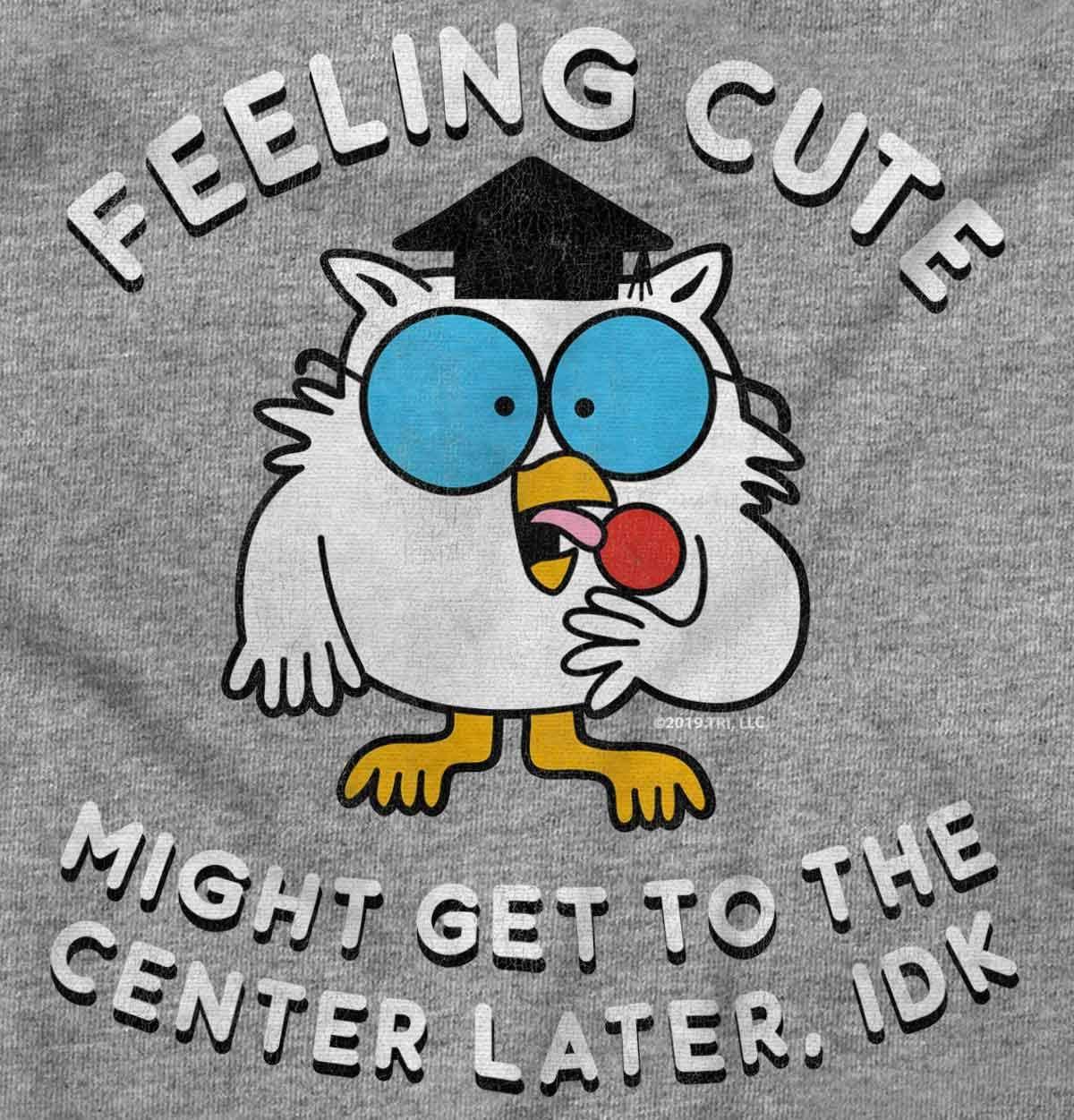 imageBrisco Brands Feeling Cute IDK Meme Mr Owl Funny Women Crewneck SweatshirtSport Grey
