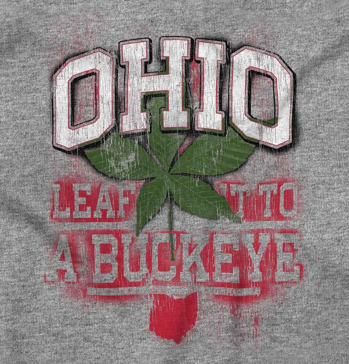 imageBrisco Brands Ohio Stenciled Buckeye Leaf OH Cool Baby Romper Boys or GirlsHeather