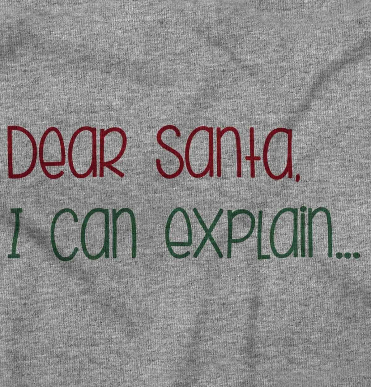 imageBrisco Brands Christmas Dear Santa I Can Explain Baby Romper Boys or GirlsHeather