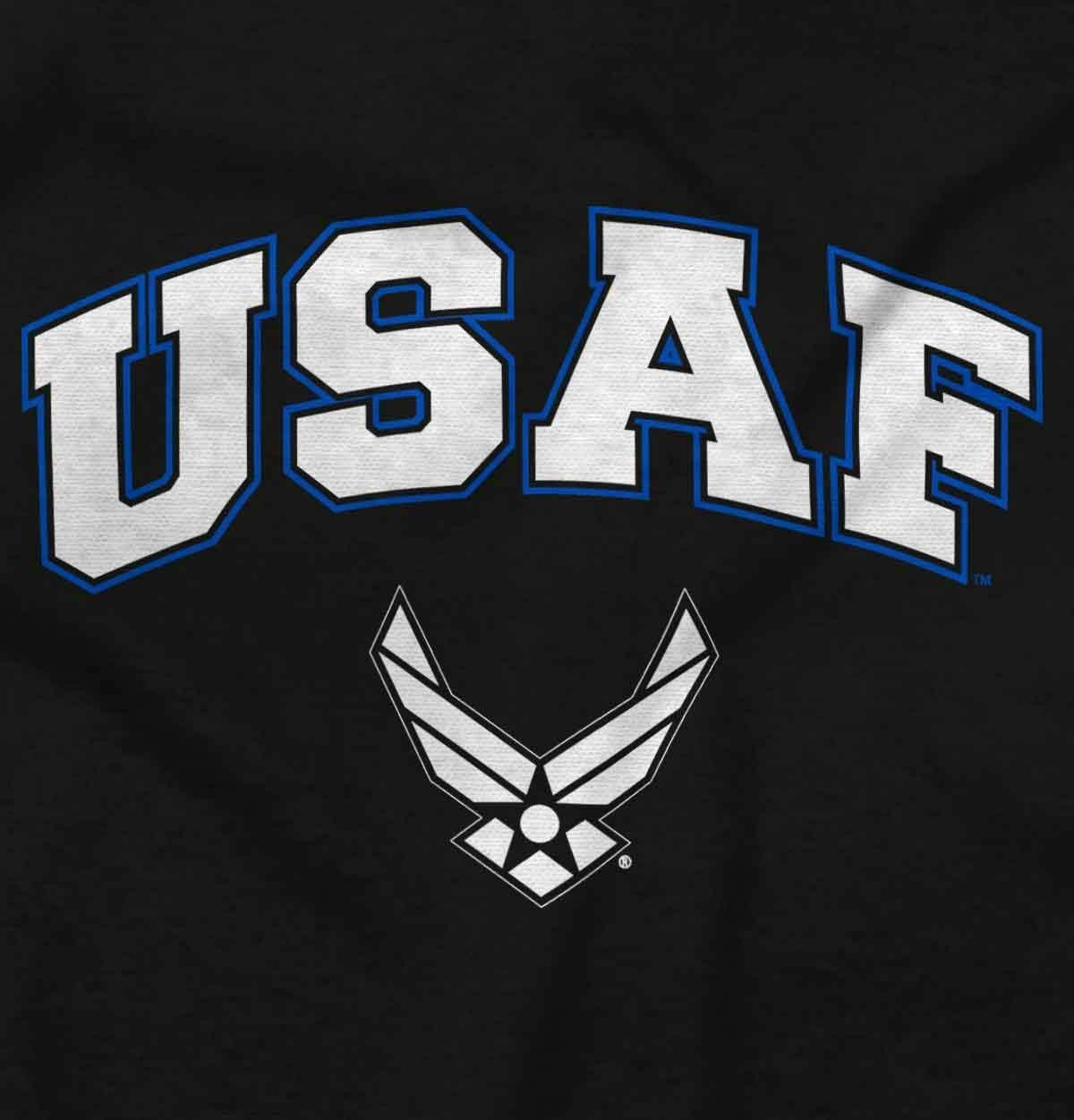 imageBrisco Brands US Air Force USAF Wing Emblem Hoodie Sweatshirt Women MenBlack