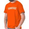 Tennessee Orange