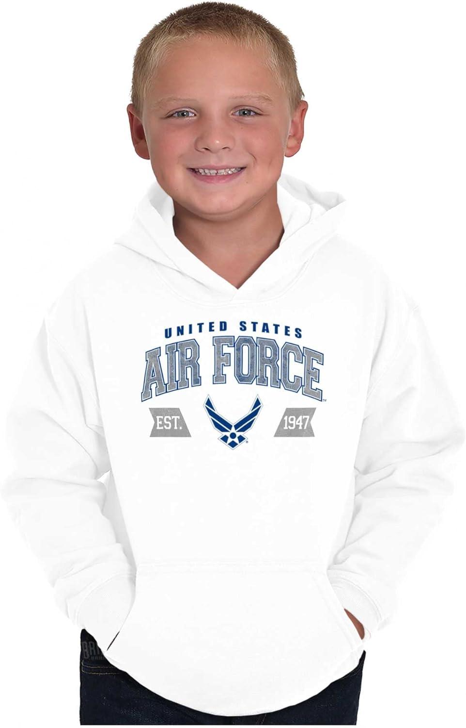 imageBrisco Brands US Air Force Wing Emblem Established Youth Hoodie Boy Girl