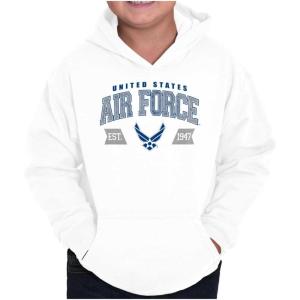 Brisco Brands US Air Force Wing Emblem Established Youth Hoodie Boy Girl