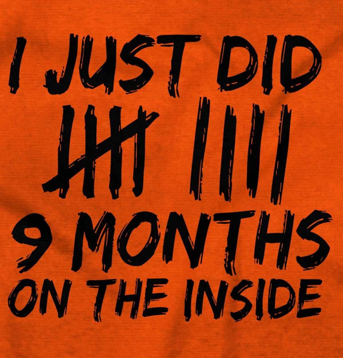 imageBrisco Brands 9 Months On The Inside Tally Marks Baby Romper Boys or GirlsOrange