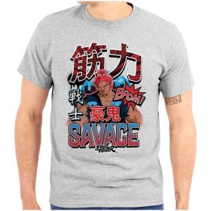 Brisco Brands Kanji Street Fighter Savage Akuma Mens Graphic T Shirt Tees(Sport Grey)