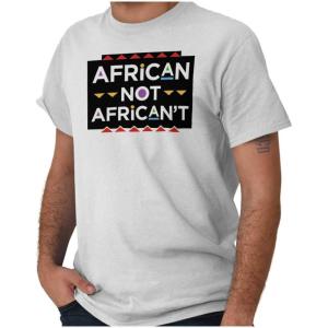 Brisco Brands Black History BHM African American Graphic T Shirt Men or Women(White)