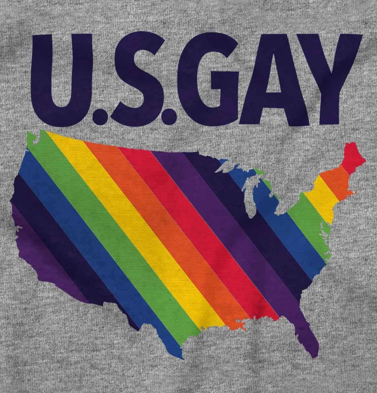 imageBrisco Brands Gay in the USA LGBTQ American Pride Hoodie Sweatshirt Women MenSport Grey