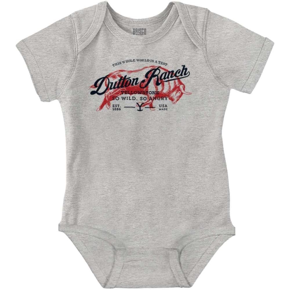 imageBrisco Brands Yellowstone Ranch So Wild So Angry Baby Romper Boys or GirlsHeather