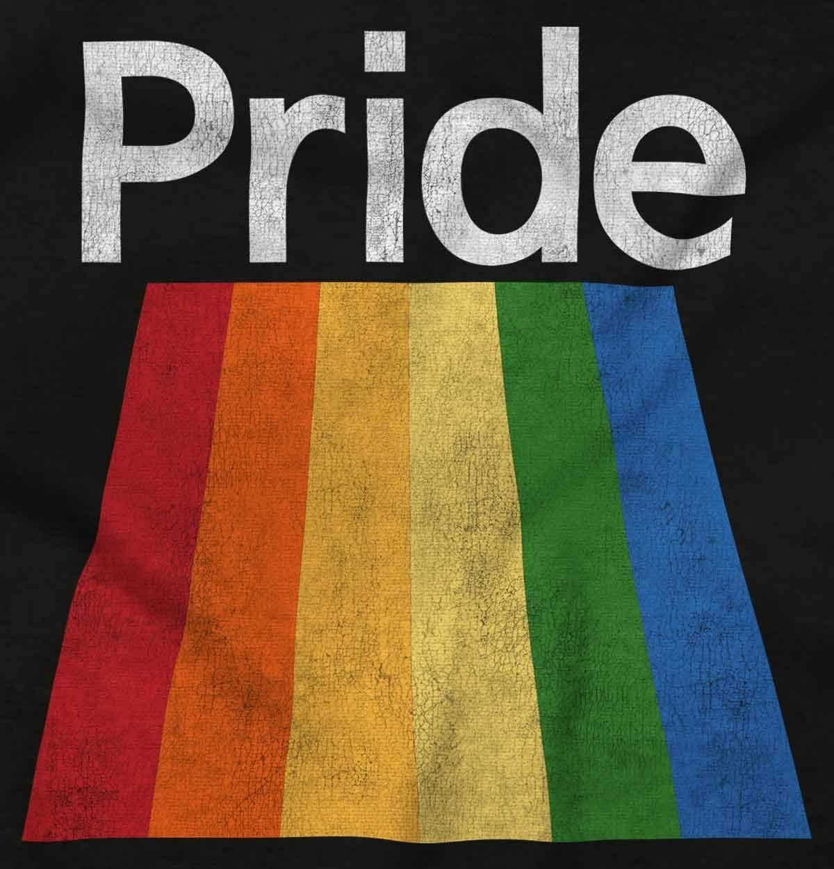 imageBrisco Brands Gay Rainbow Pride Flag LGBTQ Rights Hoodie Sweatshirt Women MenBlack