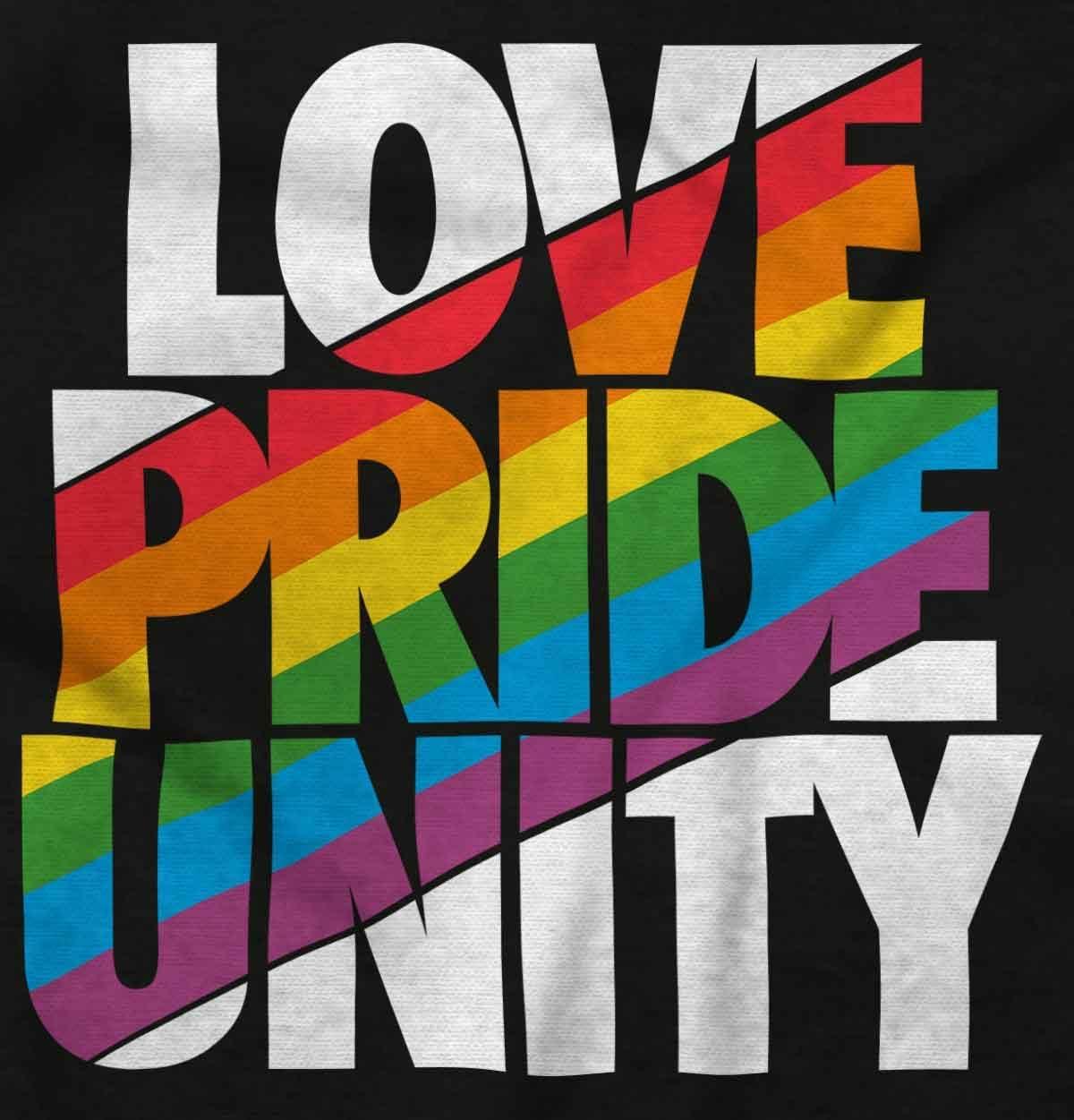 imageBrisco Brands Love Pride Unity Gay LGBT Rainbow Hoodie Sweatshirt Women MenBlack