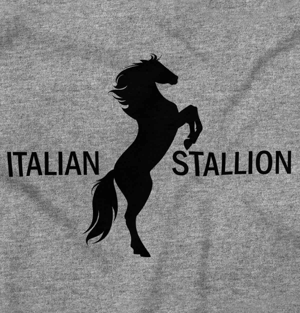imageBrisco Brands Italian Stallion Adorable Stud Baby Bodysuit Jumper BoysHeather