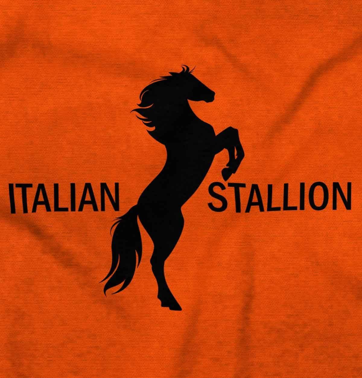 imageBrisco Brands Italian Stallion Adorable Stud Baby Bodysuit Jumper BoysOrange