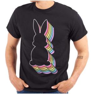 Brisco Brands Colorful Easter Bunny Gradient Graphic T Shirt Men or Women(Black)