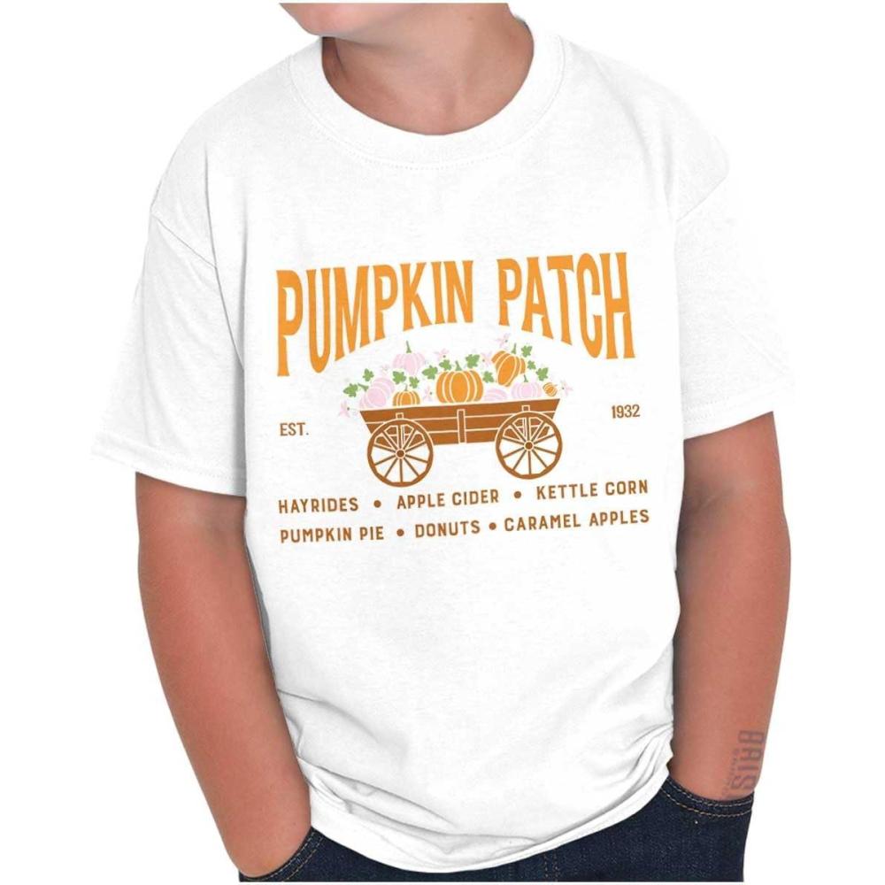 imageBrisco Brands Cute Fall Autumn Pumkin Patch Wagon Crewneck T Shirts Boy GirlWhite