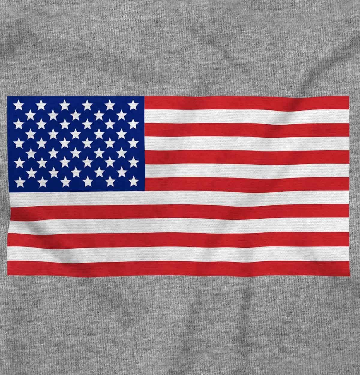 imageBrisco Brands Classic American Flag USA Pride Hoodie Sweatshirt Women MenSport Grey