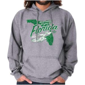 Brisco Brands Popeye Cartoon American States Hoodie Sweatshirt Women Men(Florida)