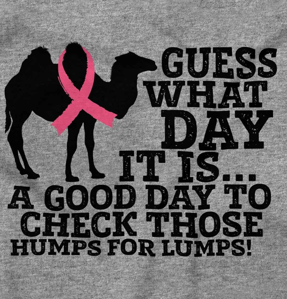 imageHump Day Check Breast Cancer Aware Womens Graphic T Shirt TeesSport Grey