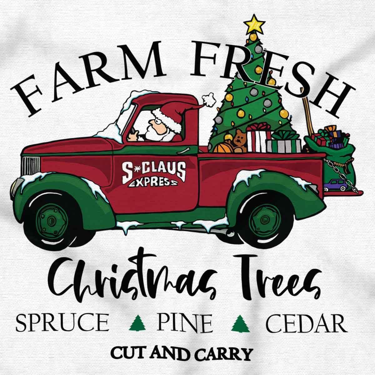 imageBrisco Brands Farm Fresh Christmas Tree Truck Graphic T Shirt Men or WomenWhite