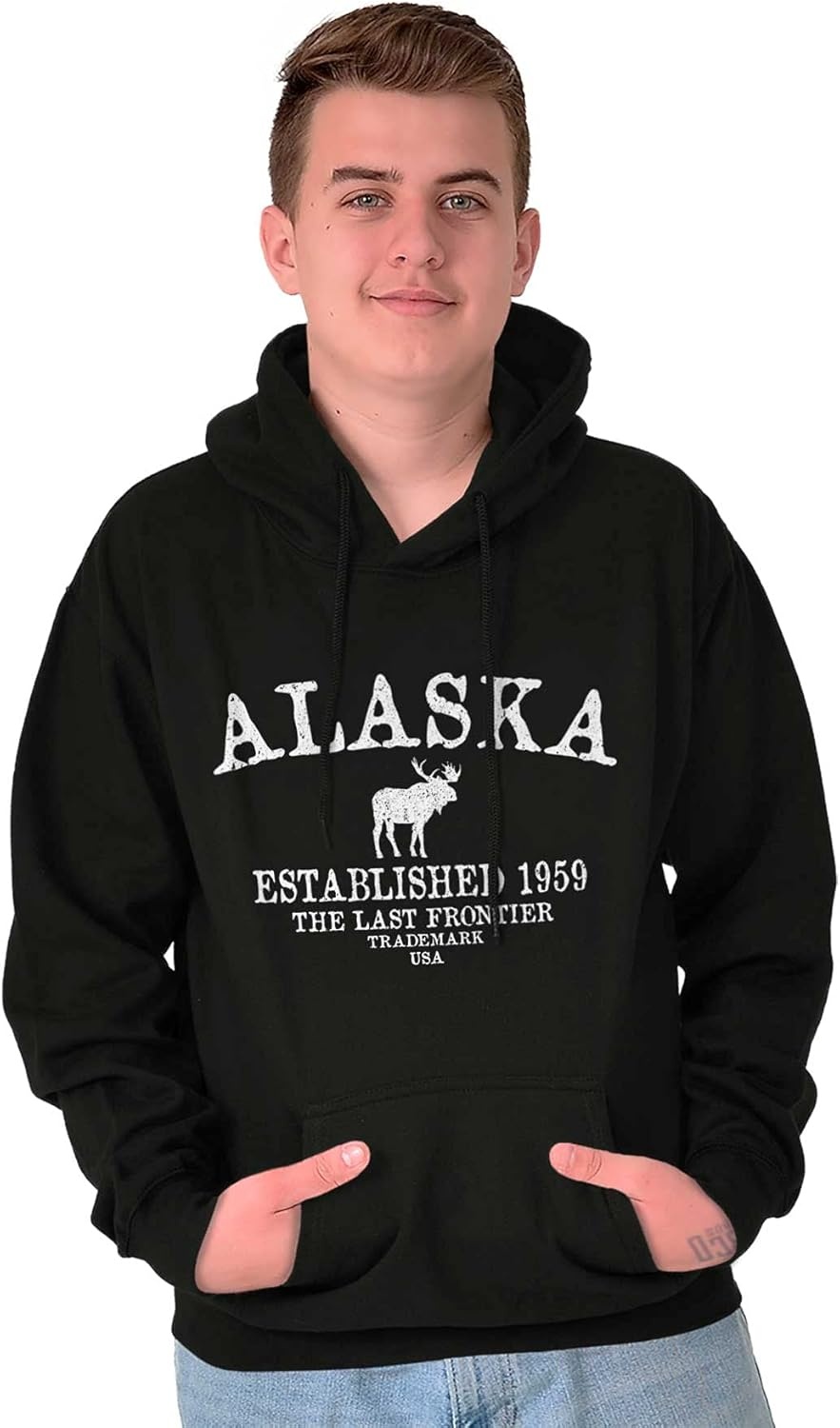 image:imageAlaska Vintage Established Hipster Hoodie Sweatshirt Women MenBlack