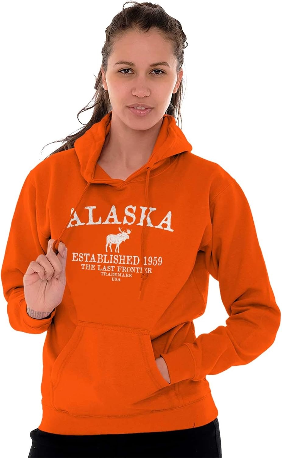 image:imageAlaska Vintage Established Hipster Hoodie Sweatshirt Women MenOrange