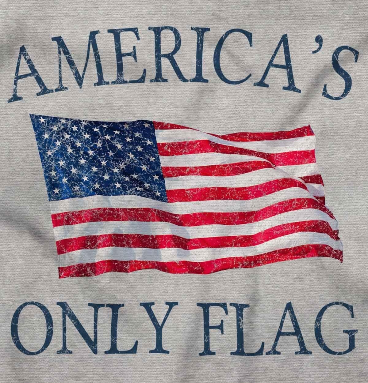 image:imageBrisco Brands Americas Only Flag American USA Pride Hoodie Sweatshirt Women MenSport Grey