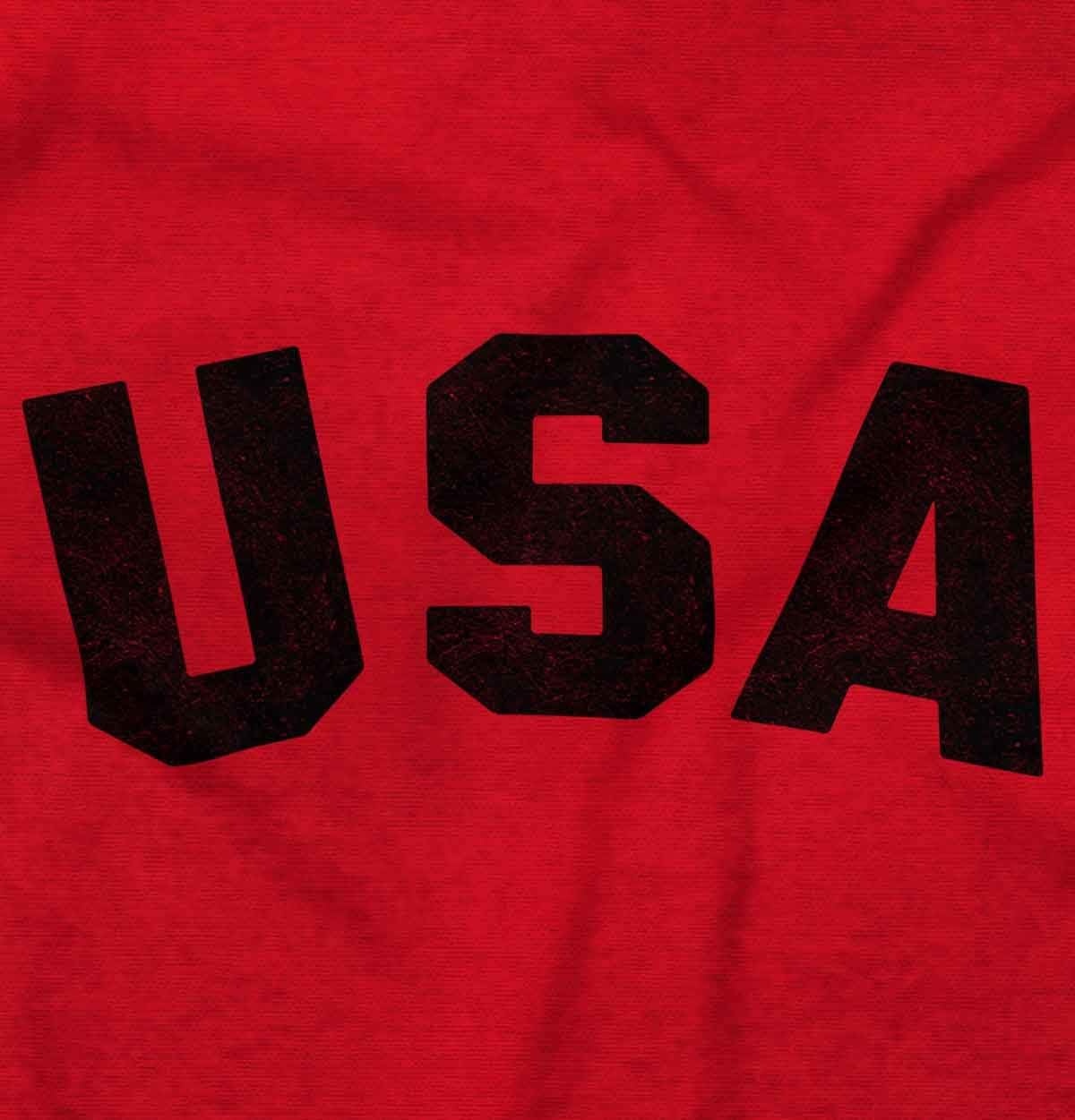 image:imageBrisco Brands United States of America USA Patriot Zip Up Hoodie Mens WomensRed