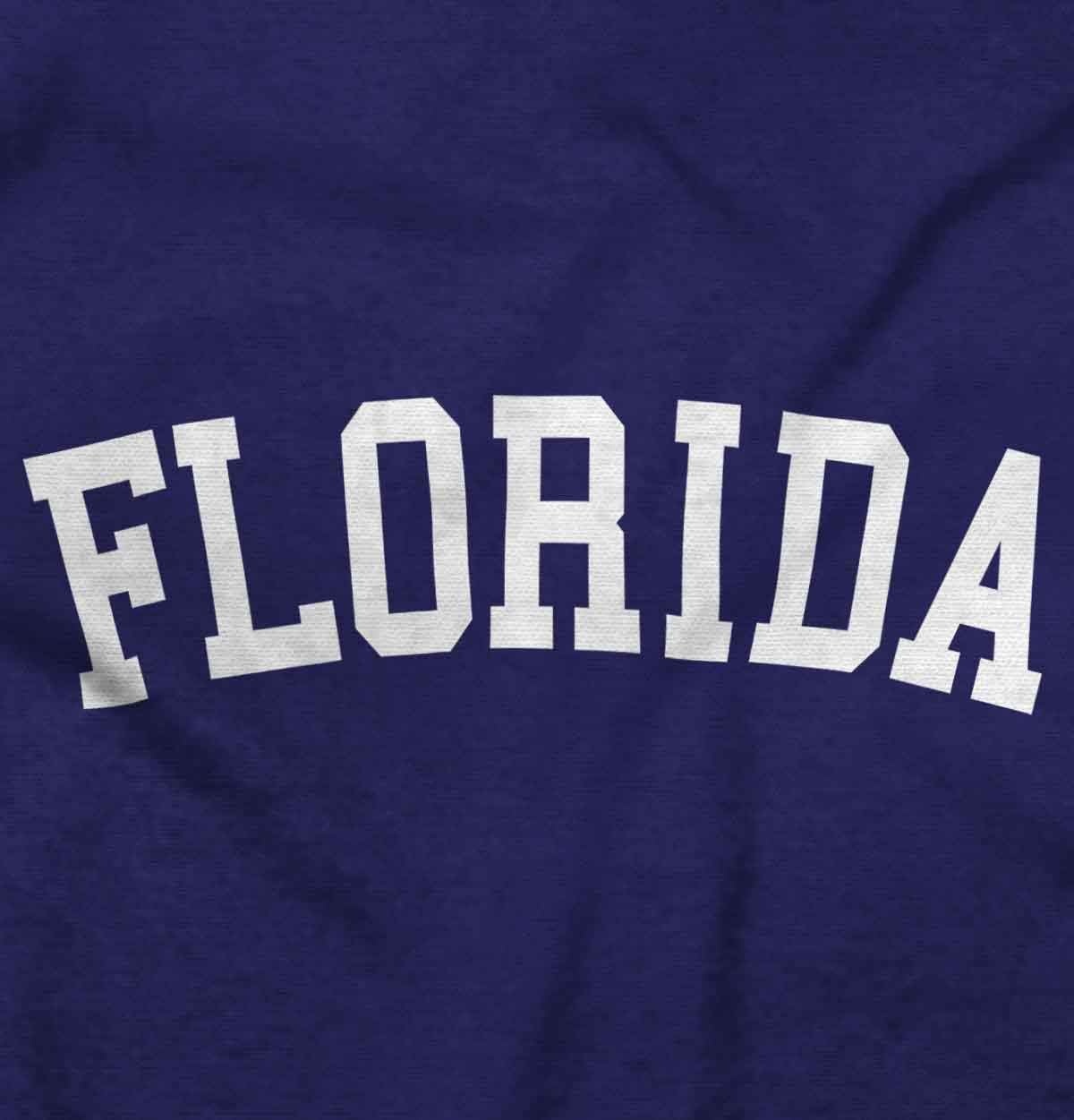 image:imageUSA State Simple Traditional Classic Graphic T Shirt for Men or WomenPurple