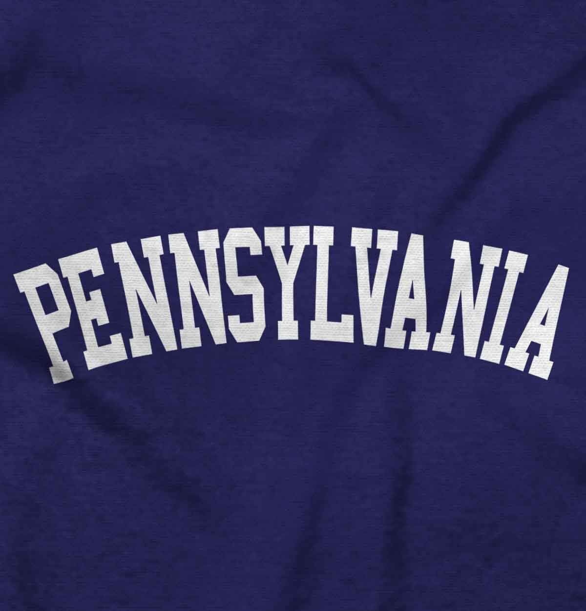 image:imageUSA State Simple Traditional Classic Graphic T Shirt for Men or WomenPurple