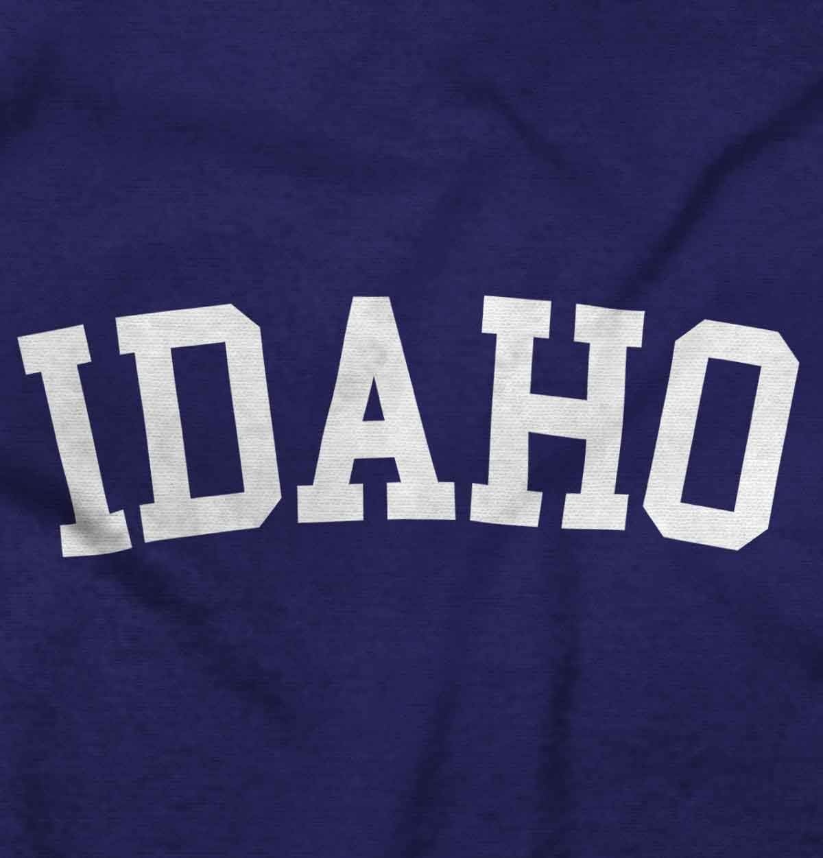 image:imageUSA State Simple Traditional Classic Graphic T Shirt for Men or WomenPurple