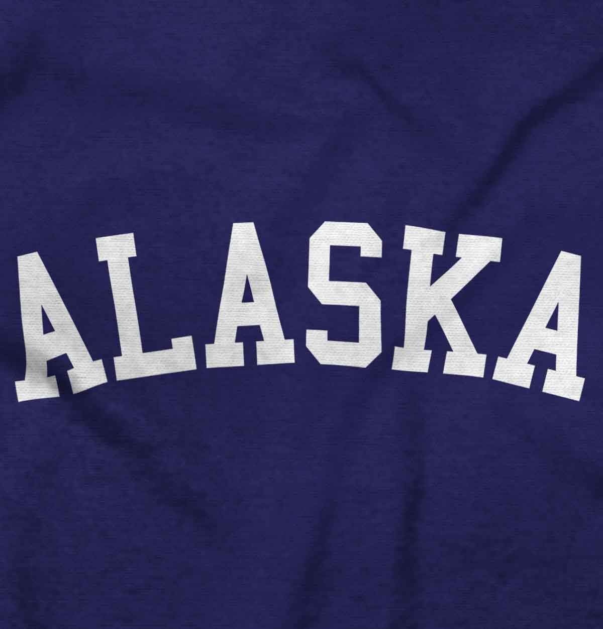 image:imageUSA State Simple Traditional Classic Graphic T Shirt for Men or WomenPurple