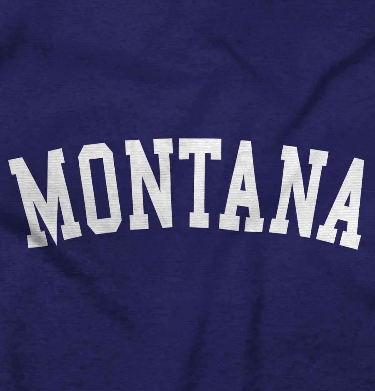 image:imageUSA State Simple Traditional Classic Graphic T Shirt for Men or WomenPurple