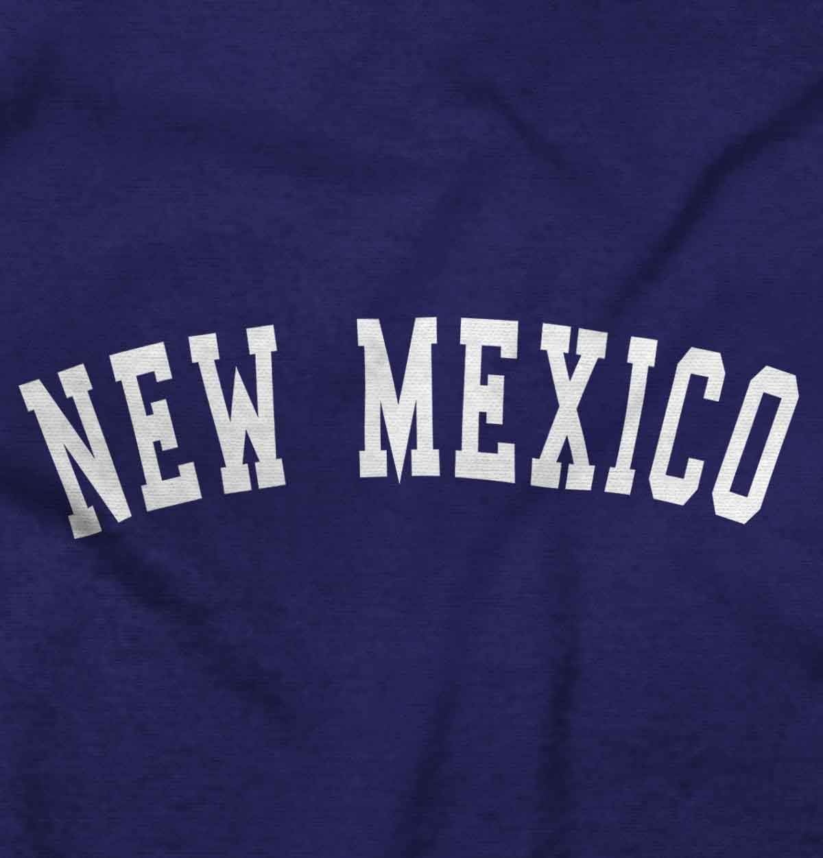image:imageUSA State Simple Traditional Classic Graphic T Shirt for Men or WomenPurple
