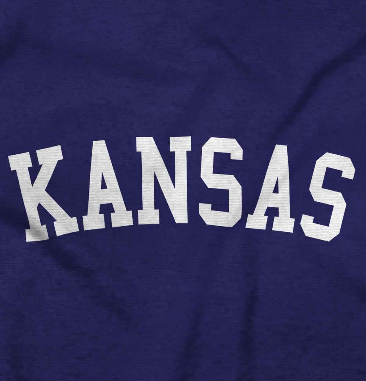 image:imageUSA State Simple Traditional Classic Graphic T Shirt for Men or WomenPurple