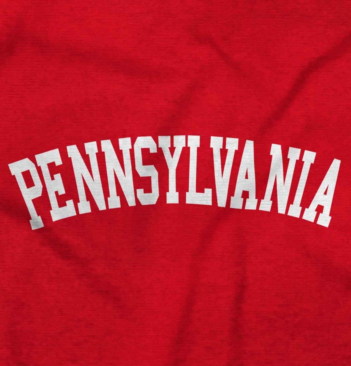 image:imageUSA State Simple Traditional Classic Graphic T Shirt for Men or WomenRed