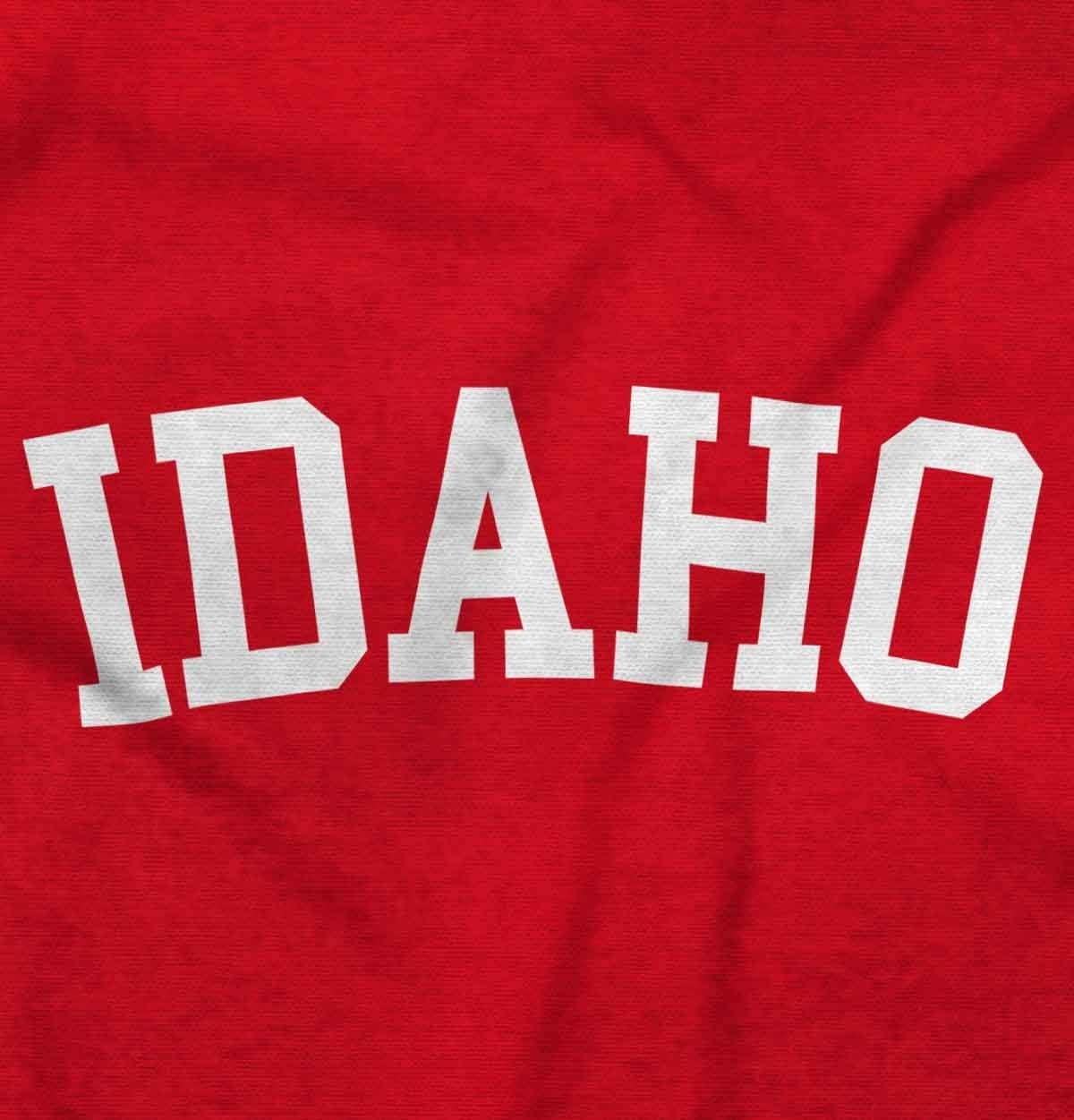 image:imageUSA State Simple Traditional Classic Graphic T Shirt for Men or WomenRed