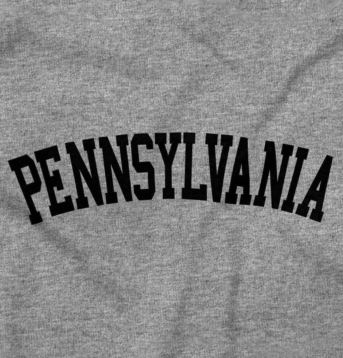 image:imageUSA State Simple Traditional Classic Graphic T Shirt for Men or WomenSport Grey