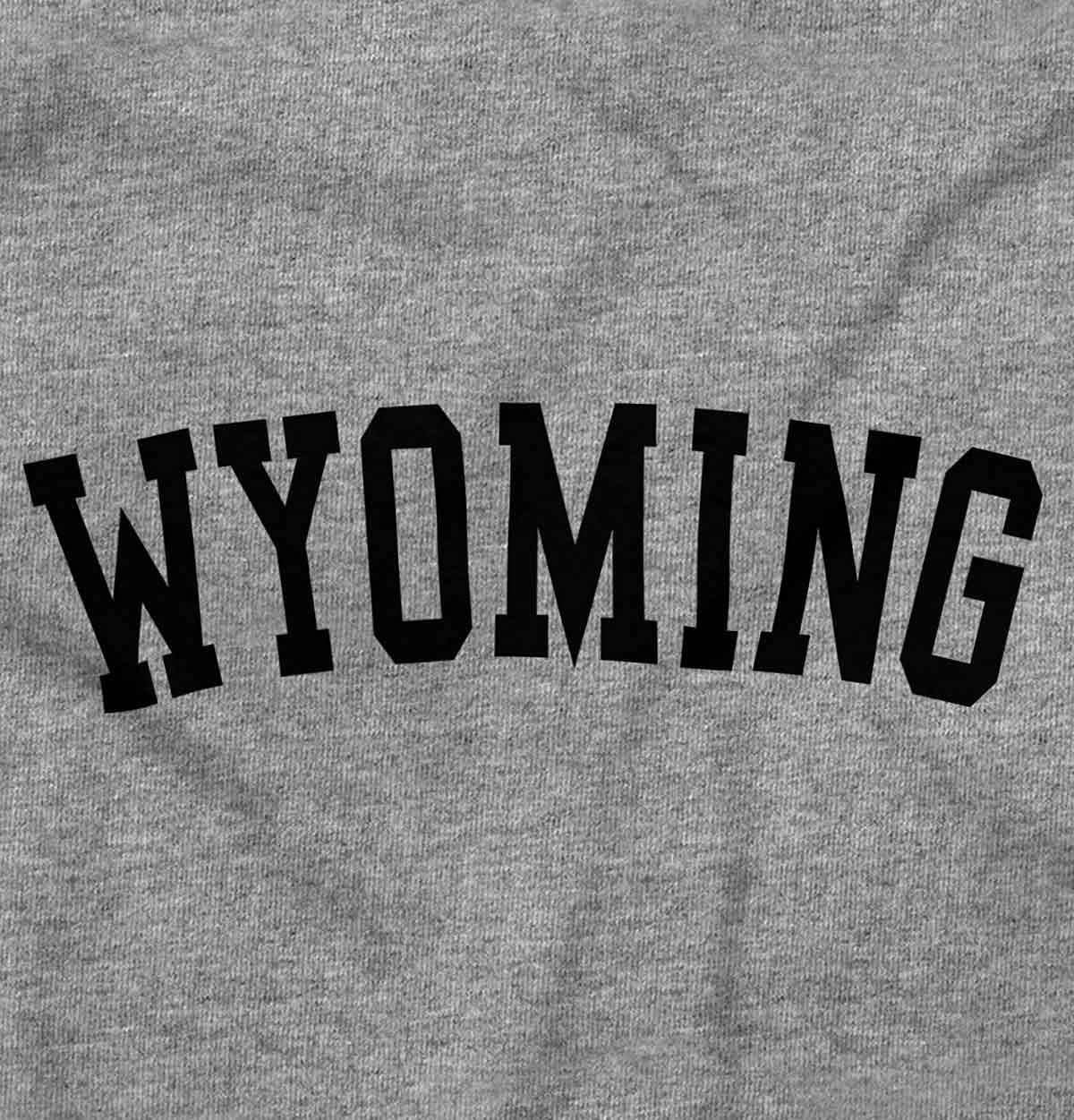 image:imageUSA State Simple Traditional Classic Graphic T Shirt for Men or WomenSport Grey