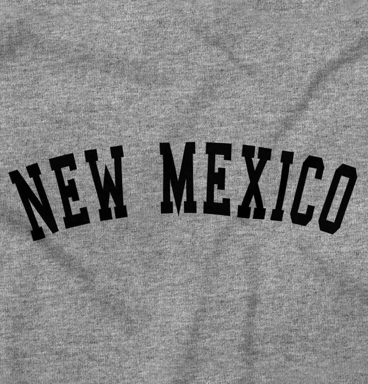 image:imageUSA State Simple Traditional Classic Graphic T Shirt for Men or WomenSport Grey