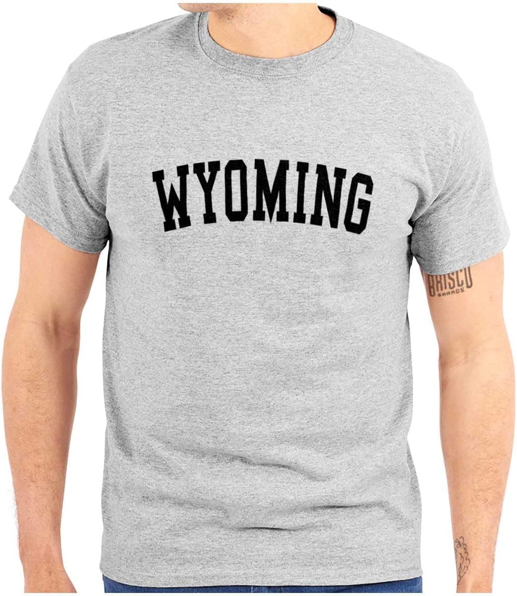 image:imageUSA State Simple Traditional Classic Graphic T Shirt for Men or WomenSport Grey