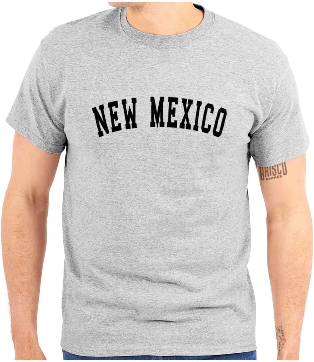 image:imageUSA State Simple Traditional Classic Graphic T Shirt for Men or WomenSport Grey