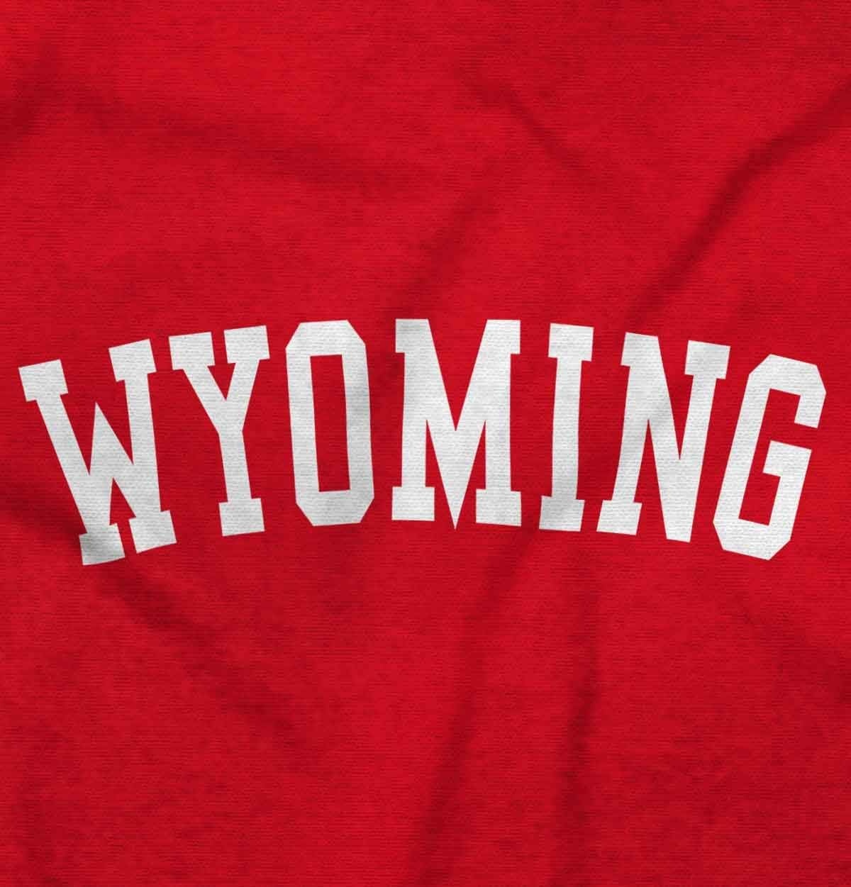 image:imageUSA State Simple Traditional Classic Long Sleeve Tshirt Men and WomenRed