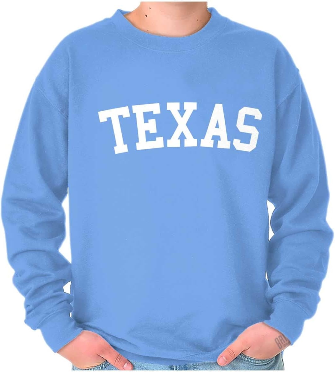 image:imageUSA State Simple Traditional Classic Sweatshirt for Men and WomenCarolina Blue