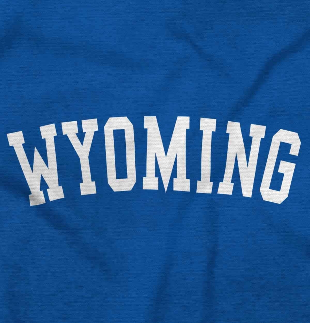 image:imageUSA State Simple Traditional Classic Sweatshirt for Men and WomenRoyal