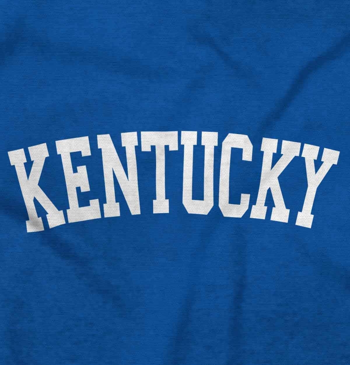 image:imageUSA State Simple Traditional Classic Sweatshirt for Men and WomenRoyal