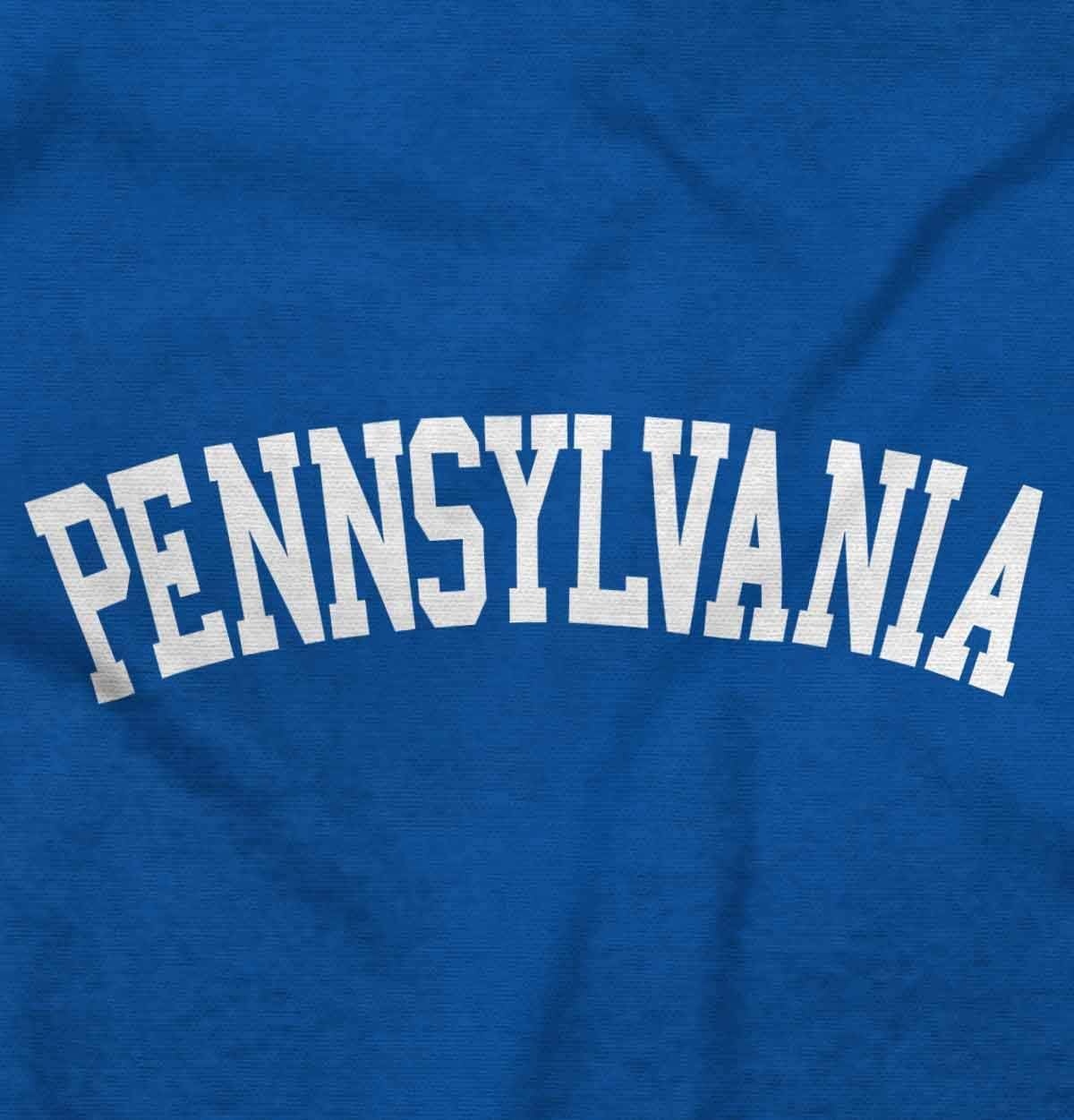 image:imageUSA State Simple Traditional Classic Sweatshirt for Men and WomenRoyal
