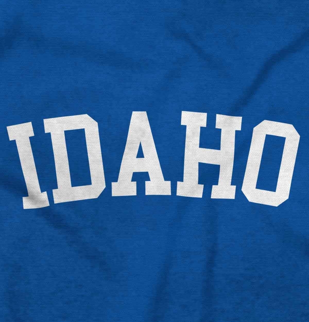 image:imageUSA State Simple Traditional Classic Sweatshirt for Men and WomenRoyal