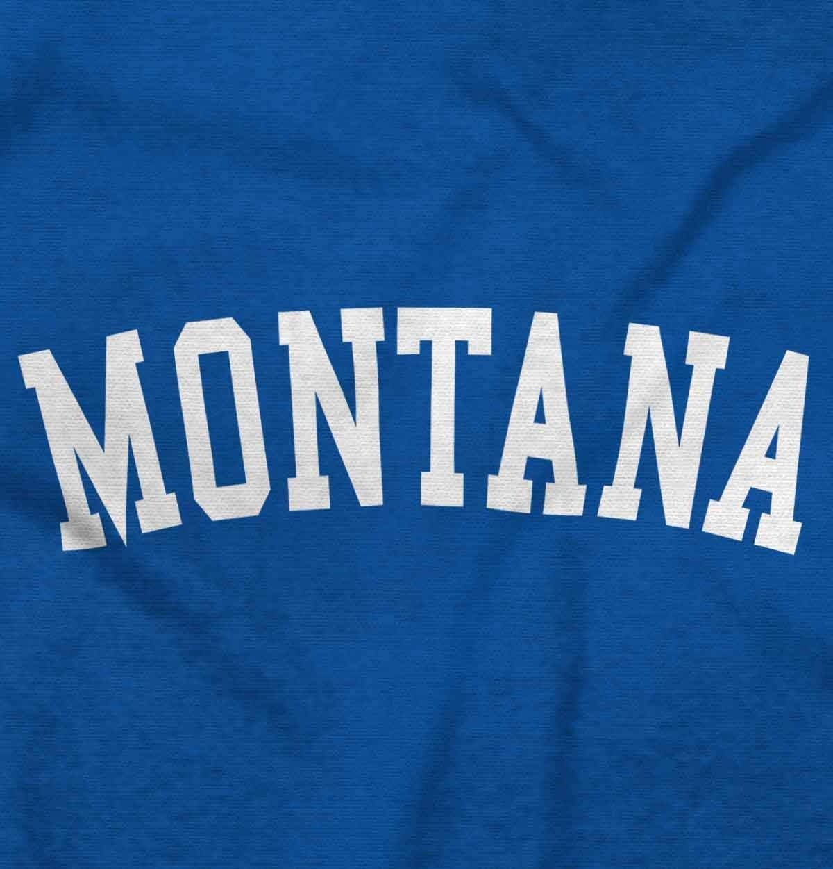 image:imageUSA State Simple Traditional Classic Sweatshirt for Men and WomenRoyal